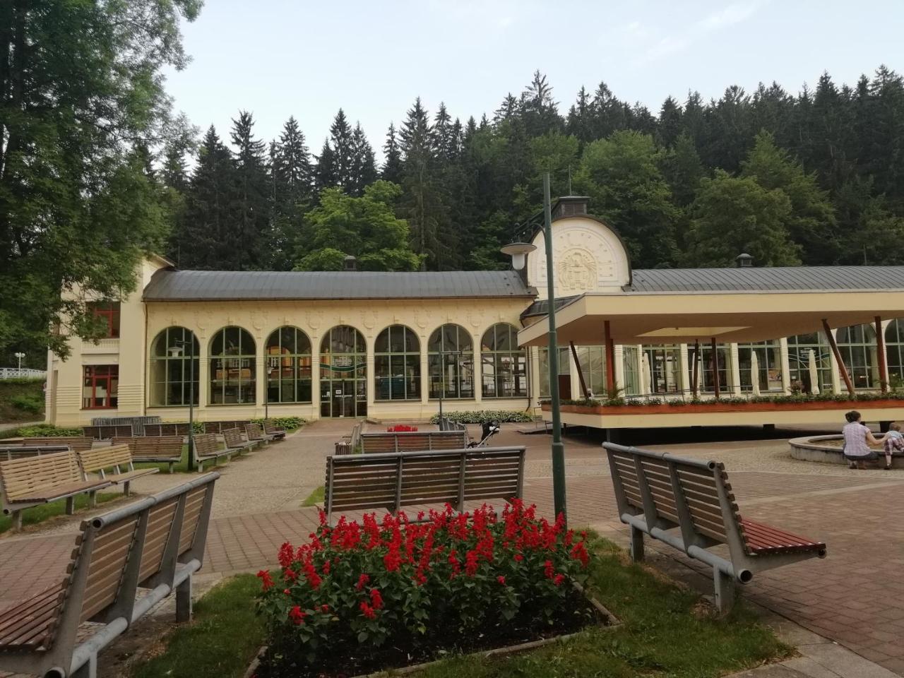 Apartman Jestrab 5 Janske Lazne Luaran gambar